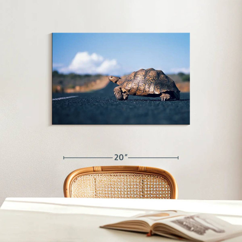 Brampt Crossing Turtle, 16" H x 24" W