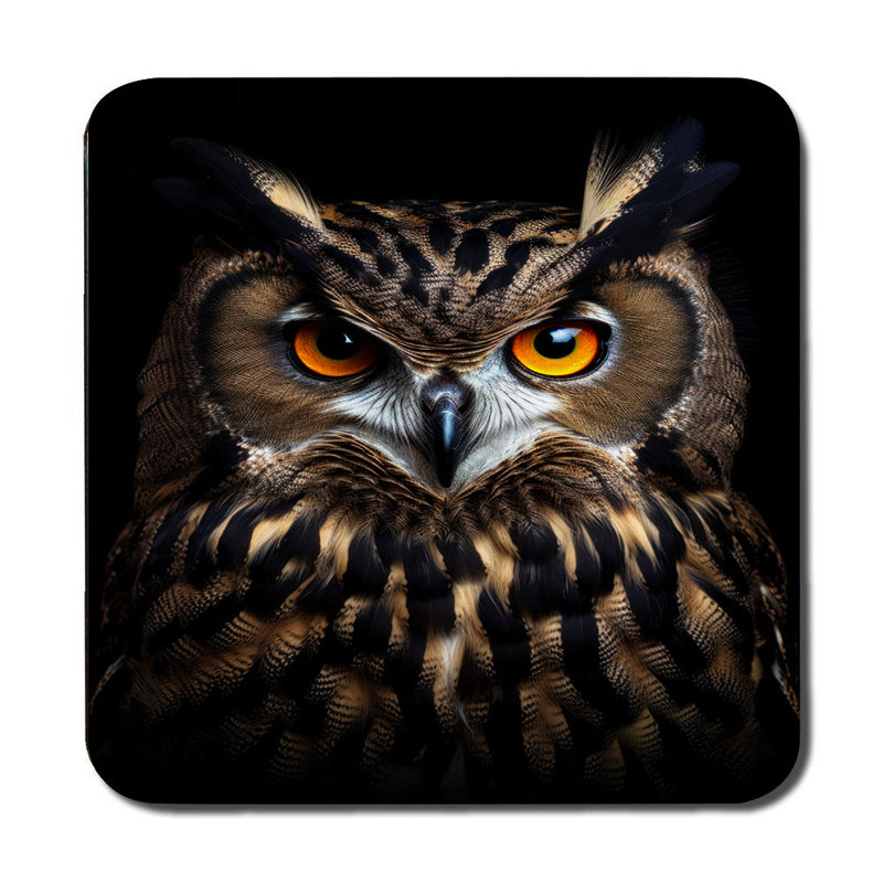 Owl Design Placemat And Coaster Set Of 12 With Wood Backing