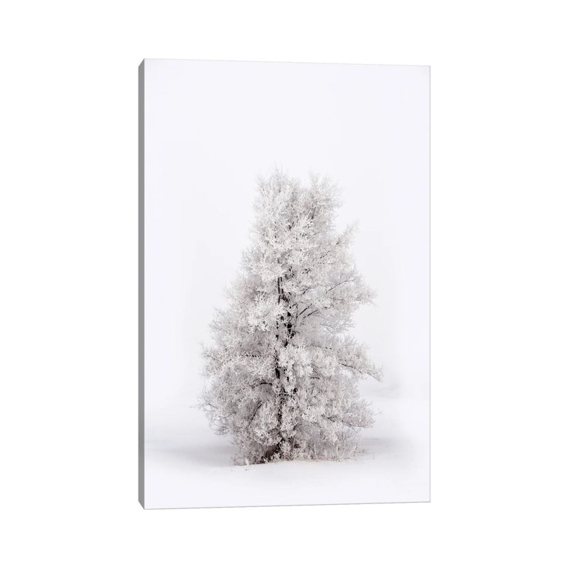 Snowy Tree At Winter by Nik Rave - Wrapped Canvas Gallery-Wrapped Canvas Giclée, 20.32 cm H x 30.48 cm W