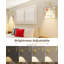 Spolight Wall Sconce