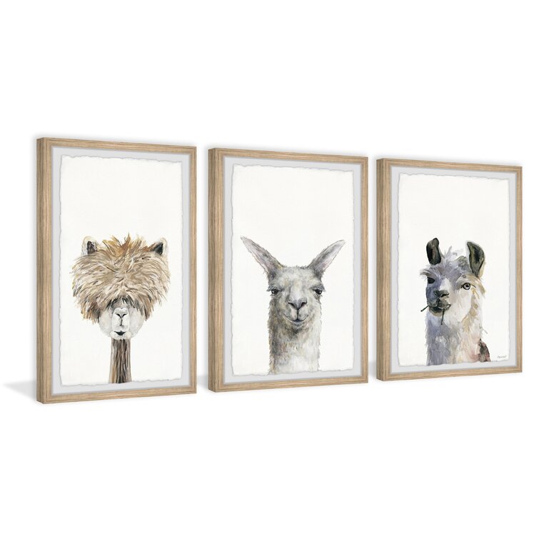 Spano Animals 3 - Piece Framed Art