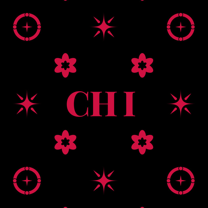 Coussin Chicago