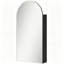 W H Medicine Cabinet Mirror
