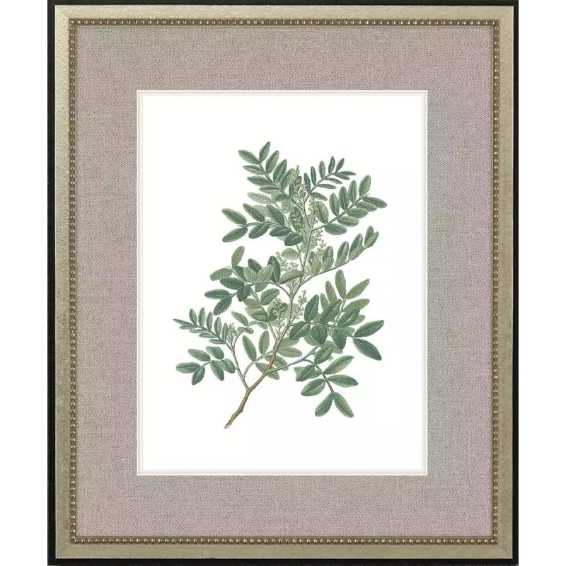 White Flowers S/4 Set by Giclee Studio