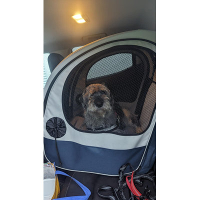 Cage de voiture pliable pour chien - Niche de voyage sécurisée à ceinture souple avec fenêtres en filet