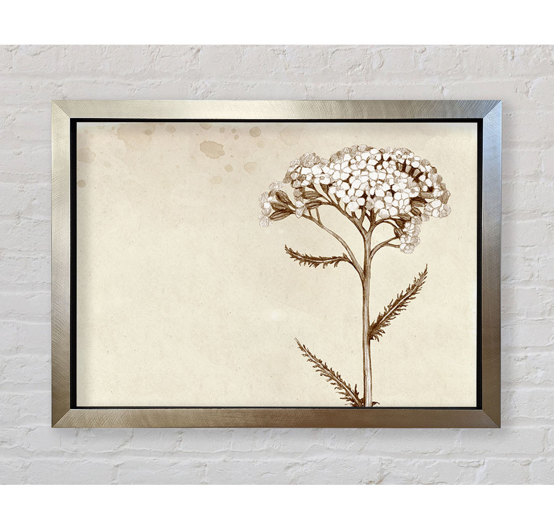 Floral Beauty Sepia - Druck