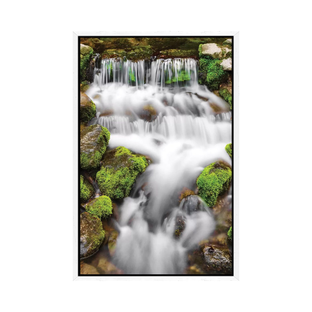 Fern Spring I, Yosemite National Park, Kalifornien, USA