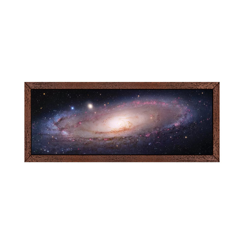 M31, Andromeda Galaxy VII by Robert Gendler - Panoramic Print on Canvas, Brown Floater Framed, 152.4 cm H x 50.8 cm W