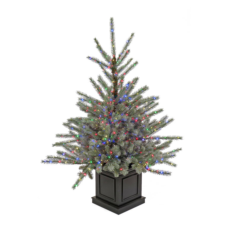 4' Blue PE Spruce Christmas Tree with 780 Lights