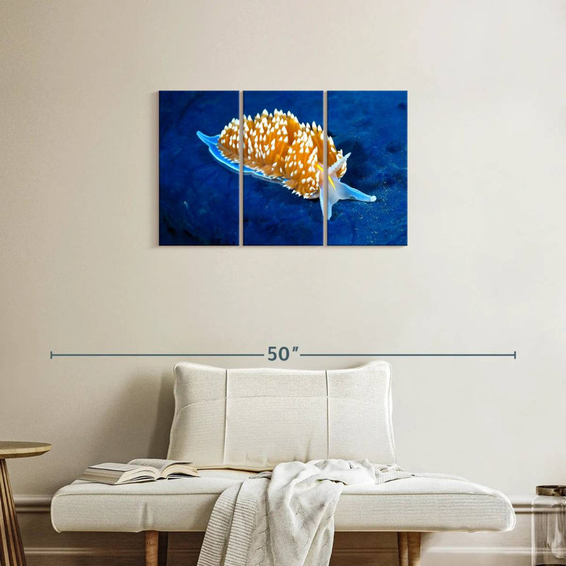 Nudibranche rougeoyant, H 20 po x l 33 po