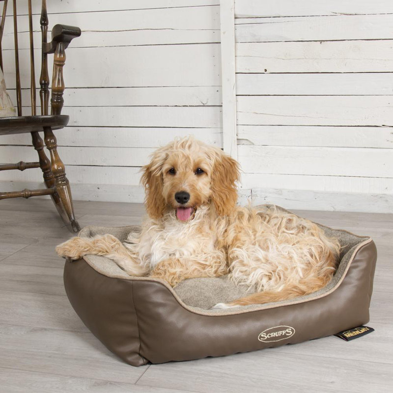 Chateau Orthopedic Polyester Pet Bed, Latte, 17cm H x 60cm W x 50cmD