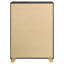 Commode de style traditionnel-772957608