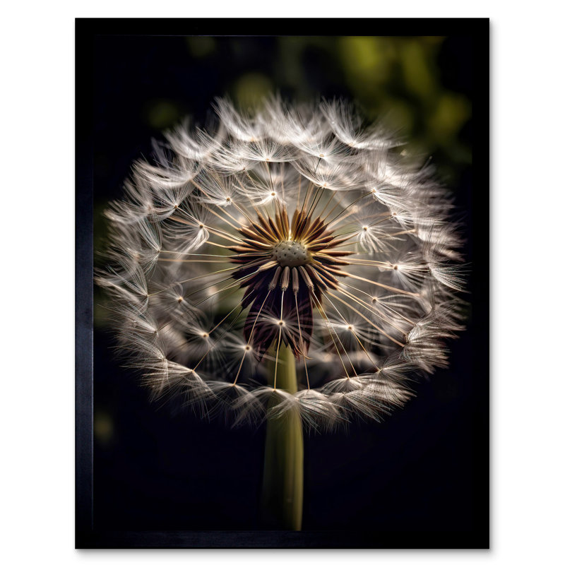 Mekaylah Dandelion Flower - Single Picture Frame Print