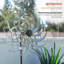 Jeu de jardin Burdick