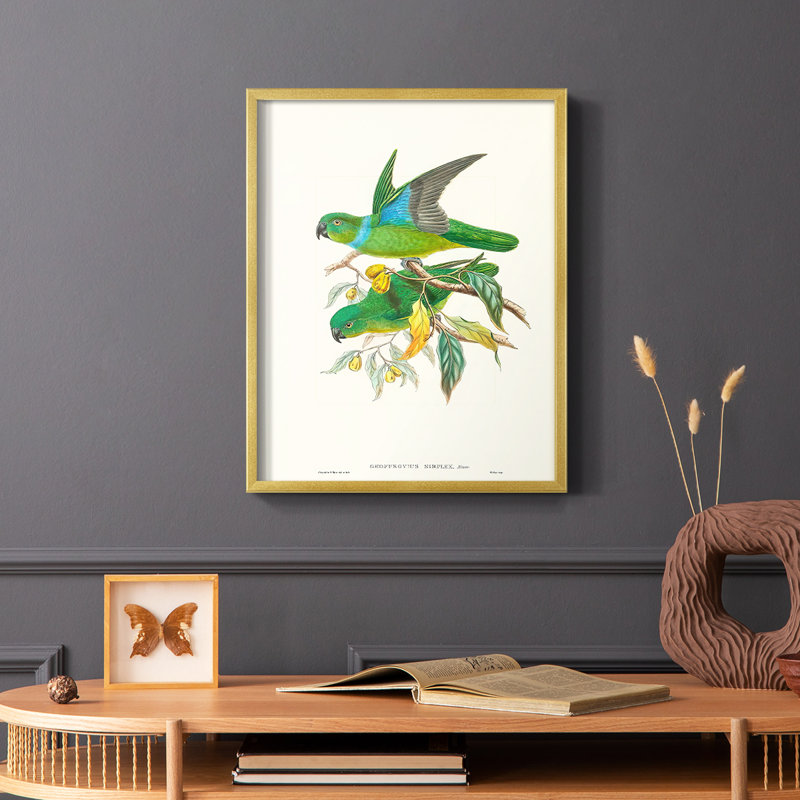 «Lime & Cerulean Parrots II», reproduction encadrée - bois massif, H 20 po x l 16 po