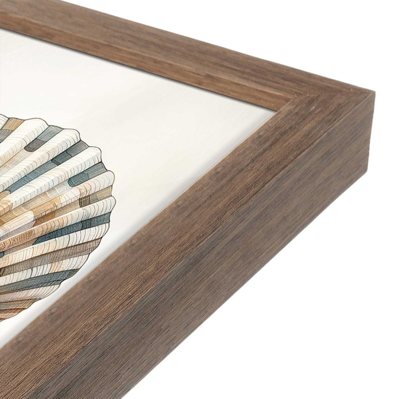 «Cape Cod Shores Seashells» par Nicole DeCamp, reproduction d'art, L 36 x H 48, Brun, Impression encadrée