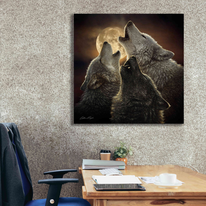 'Wolf Trinity' by Collin Bogle, Canvas Wall Art, 37" H x 37" W x 1.5" D