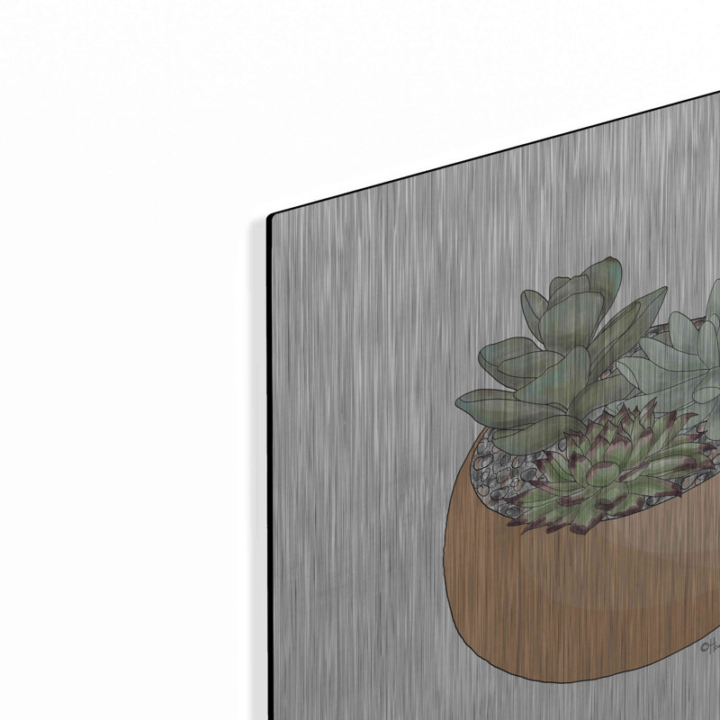«Succulent Planter II» par Heidi Kuntz, H 12 po x l 12 po