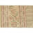 Hand Knotted Wool Indoor Rug