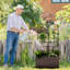 Alzada Metal Raised Garden Bed with Trellis