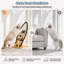  Grattoir en forme de planche de surf pour chat Palm Beach