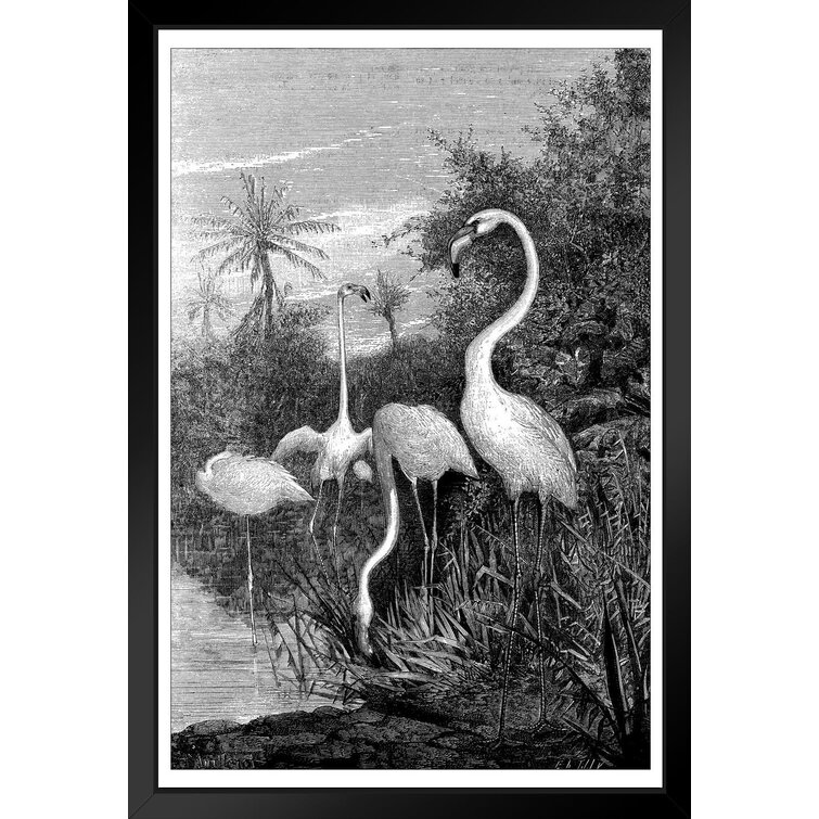 Antique Flamingo BIrd Print — MUSEUM OUTLETS