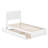 Darlean Solid Wood Trundle Platform Bed with Footboard & Roll Out Trundle-119533562-119533567