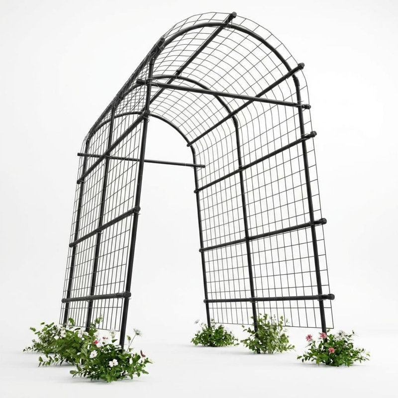 228.6cm H x 114.3cm W Iron Arched