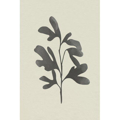 Ink Oak Branch II by Emma Caroline - Wrapped Canvas Painting