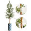 68 plantes-95099219-138916969