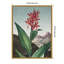 Temple of Flora I par Dr. robert j. Impression sur toile encadrée Thornton-109561830