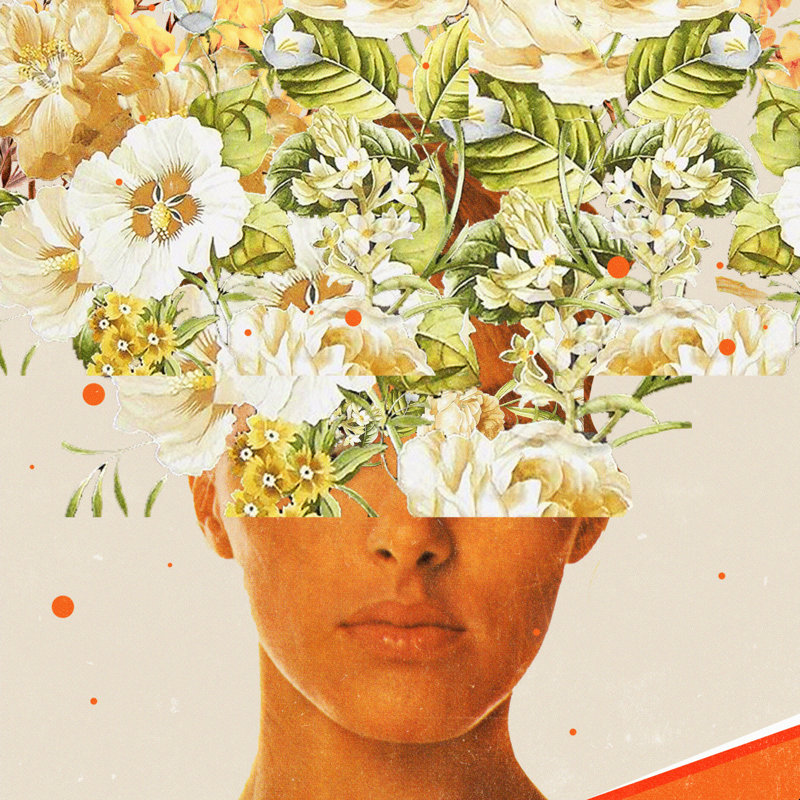 «Superflowerhead» par Frank Moth - reproduction d'art sur toile tendue, H 20 po x l 20 po, Papier avec cadre noyer, Non