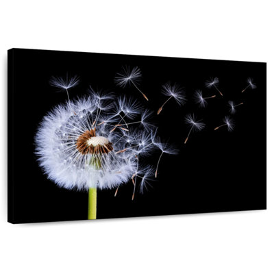 Harnek Windblown Dandelion