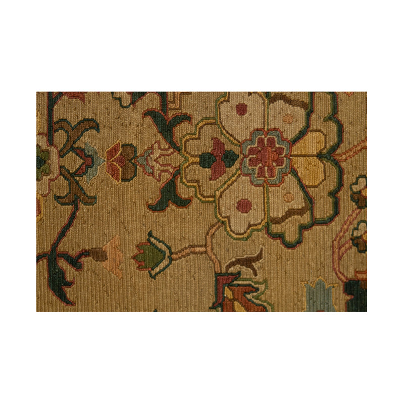 Oriental Area Rug in Camel/Brown/Green