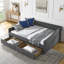 Lit de jour double avec tiroirs, canapé-lit capitonné, avec bouton sur le dos et clou en cuivre sur les accoudoirs ondulés (80,5 po x 55,5 po x 27,5 po) (ANCIEN SKU: W1413S00032)-131098359-131098358