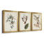 Pl. «160 Carolina Titmouse», ensemble de 3 impressions sur toile encadrées-1895717710-1895717711