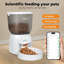 Automatic Feeder