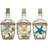 Brumley Starfish and Shell in Bottles-1374151217
