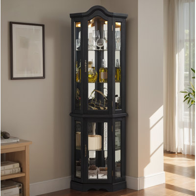 Lighted Corner Curio Cabinet by Winston Porter