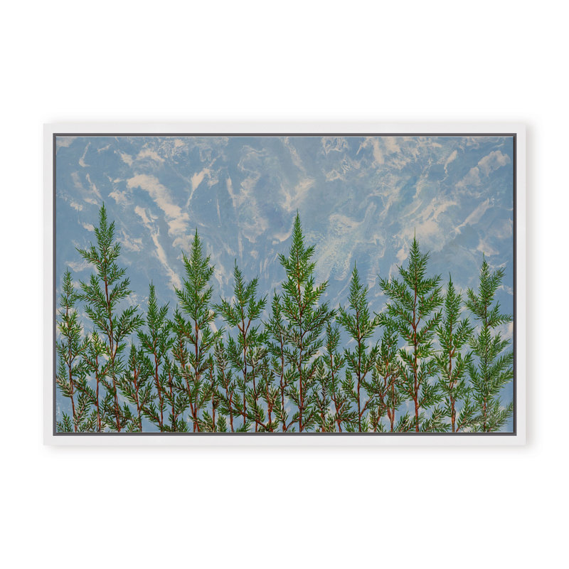 Nature Inspired "Reaching for the Sky" Canvas Wall Art By , 12" H x 16" W, Framed Matted Print, Brown