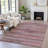 Machine Washable Indoor/Outdoor Xhevrie Pink Rug-111822108