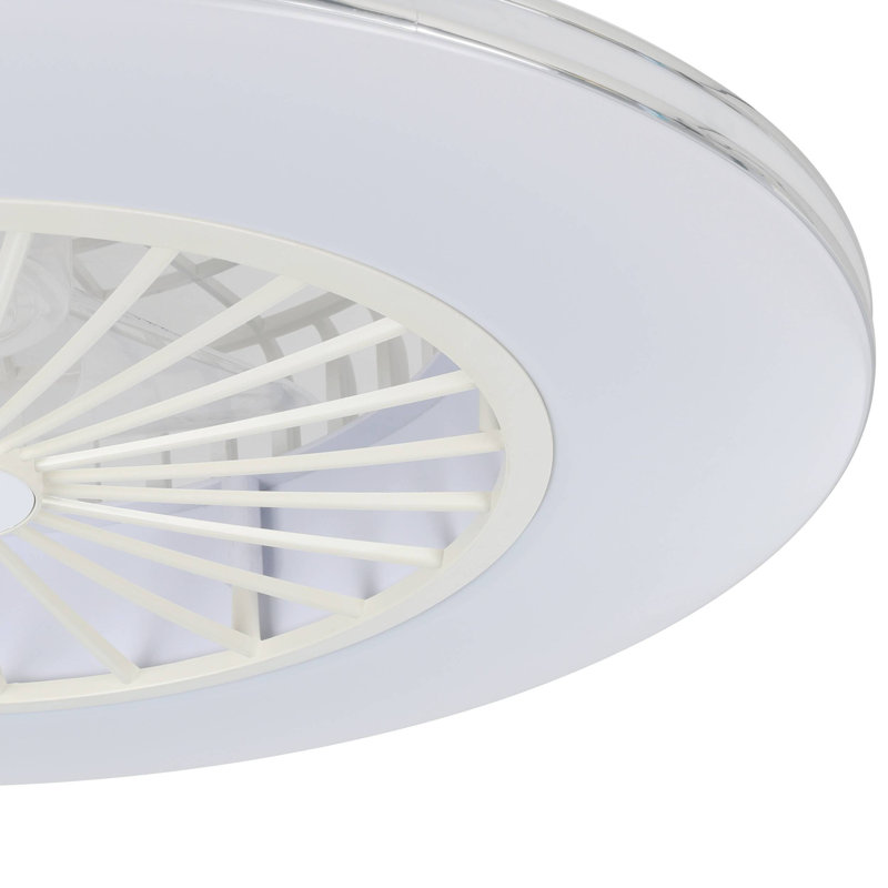 Jenkintown Ceiling Fan with LED Lights