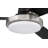 Medeea 52'' Ceiling Fan with LED Lights-181217016
