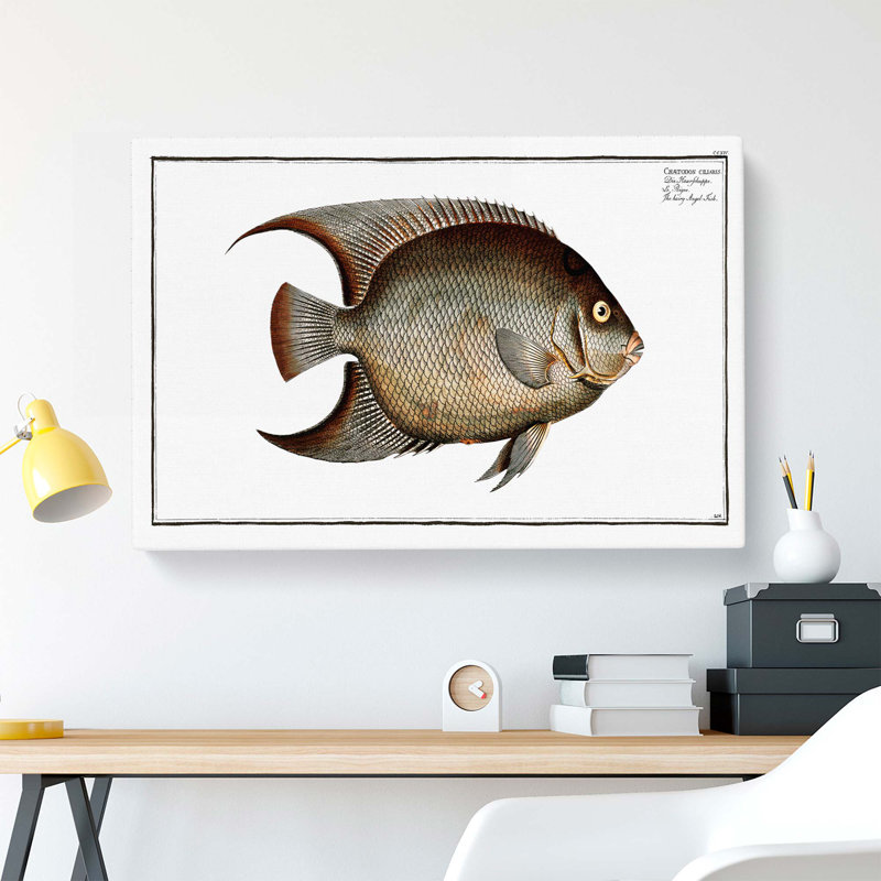 Hairy Angel-Fish by M.E. Bloch - Wrapped Canvas Print, 50cm H x 76cm W x 3cm D
