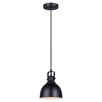 Alasteir 1 - Light Black Bell Pendant