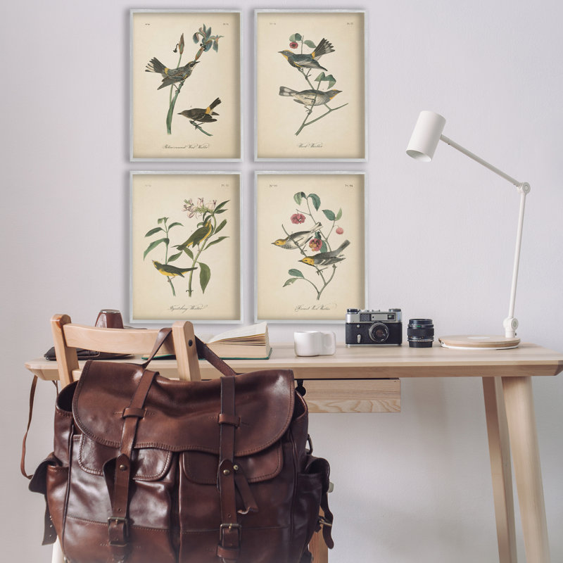  «Vintage Study Birds & Plants», ensemble de 4 giclées par Wild Apple, H 24 po x l 16 po, Estampe numérique Farmhouse