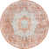Alize Oriental Indoor Rug