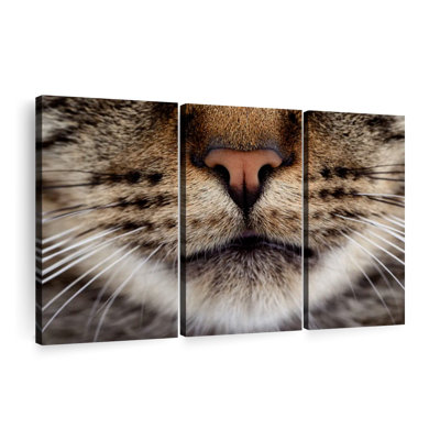 " Cat Whiskers " 3 - Pieces