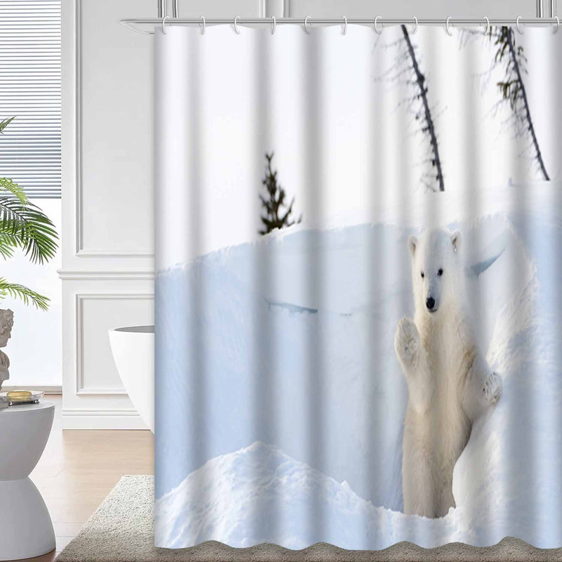 Rideau de douche avec 12 crochets Winter Park, L 72 po x l 84 po