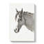Head of the Horse by Jean Bernard - Wrapped Canvas-55360174